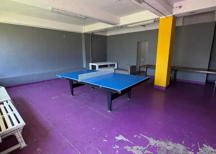 La Palmeraie Pool Ac 公寓 尼斯